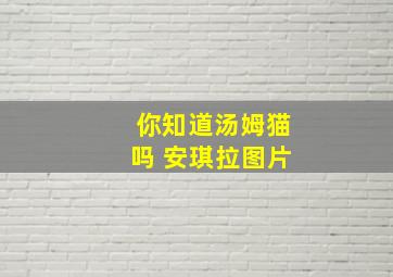 你知道汤姆猫吗 安琪拉图片